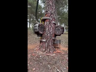 technology in the action of a combine that revolutions the deforestation